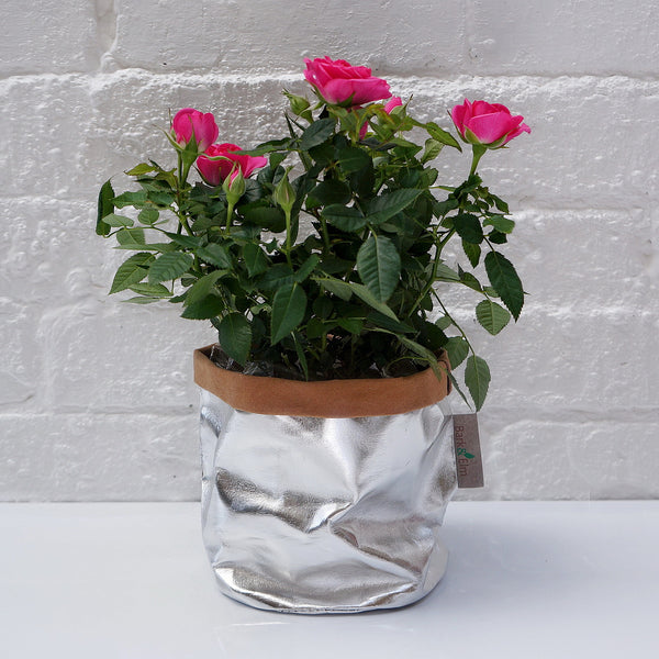 Eco Plant Bag + Saucer - Metallic Silver