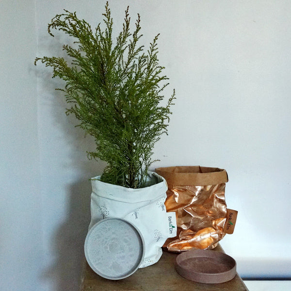 Plant Saucer - For Small Bags