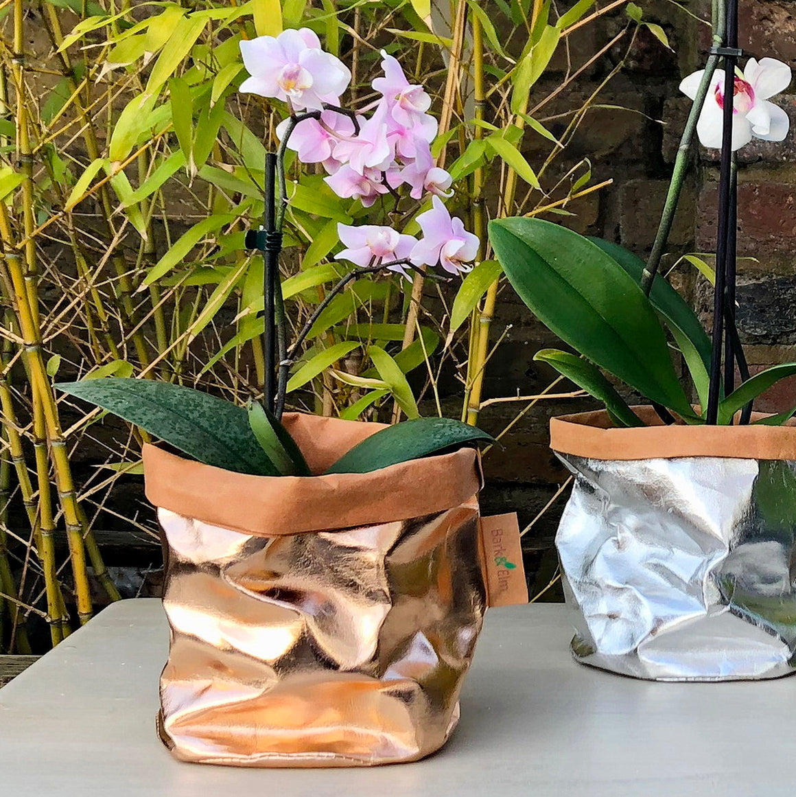 Eco Plant Bag + Saucer - Metallic Rose Gold