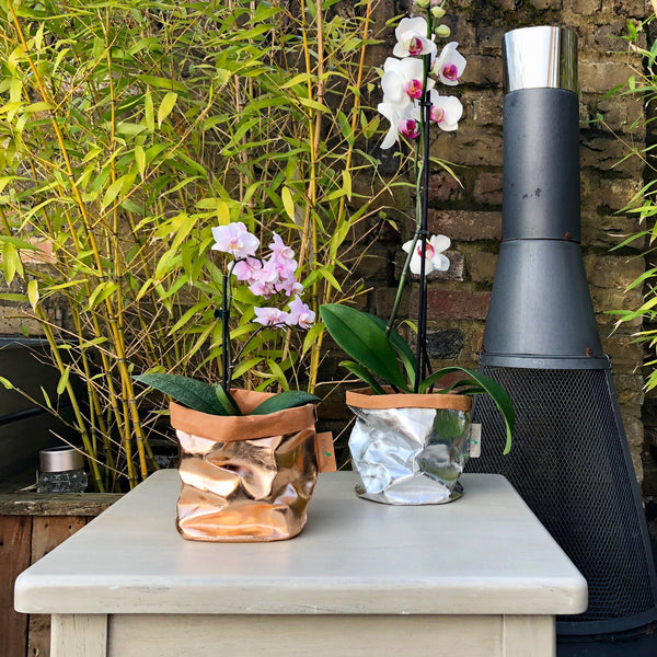 Eco Plant Bag + Saucer - Metallic Silver