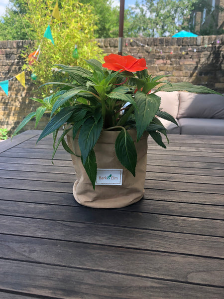 Eco Plant Bag + Saucer - Matte Tan