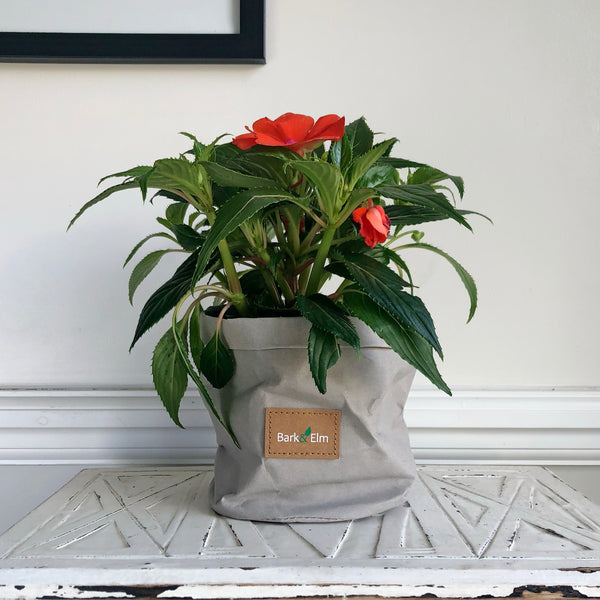 Eco Plant Bag + Saucer - Matte Grey