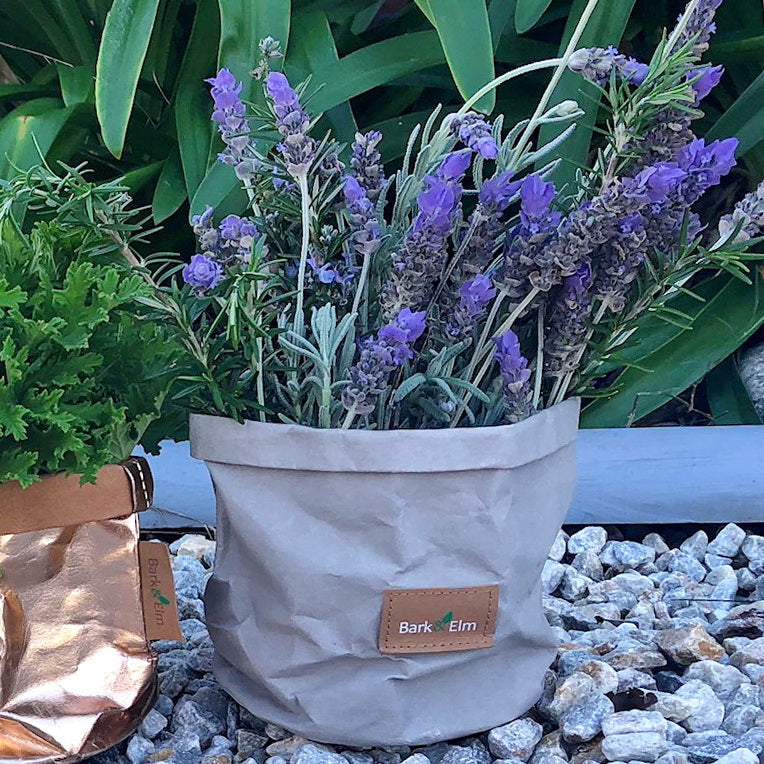 Eco Plant Bag + Saucer - Matt Grey