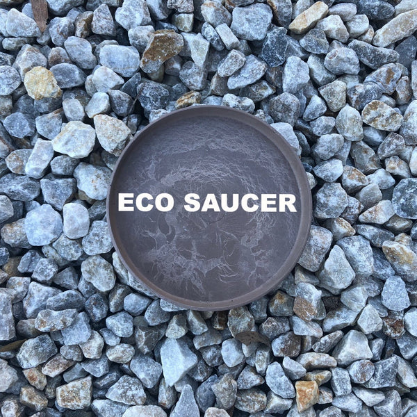 Eco Plant Bag + Saucer - Metallic Rose Gold