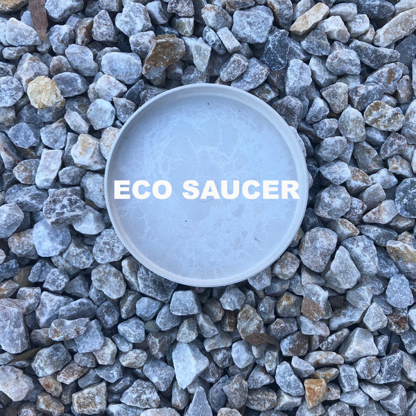 Eco Plant Bag + Saucer - Matte Grey