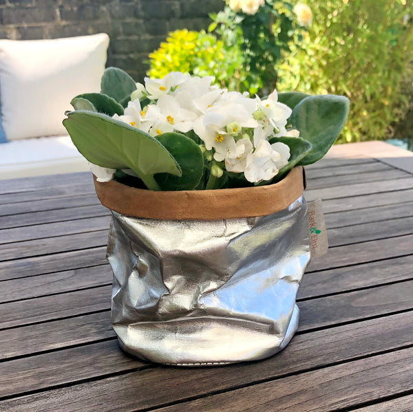 Eco Plant Bag + Saucer - Metallic Silver